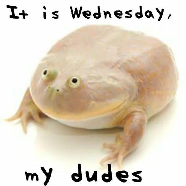 It is Wednesday, my dudes.